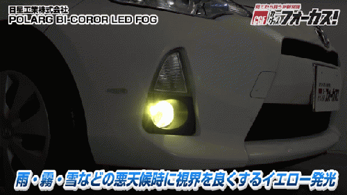 BI-COROR LED FOG